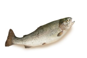 finegoldfish352