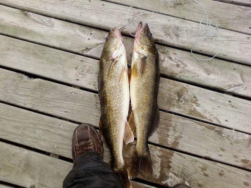 Little Bowsting Lake near Taconite