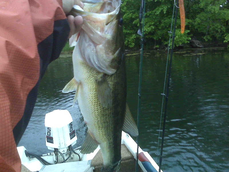 4lb8oz mitchel lake