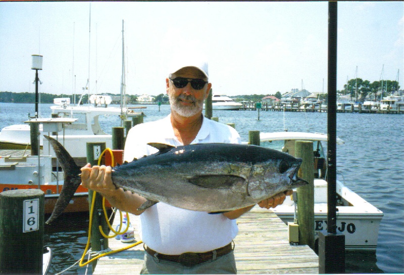 Blackfin Tuna